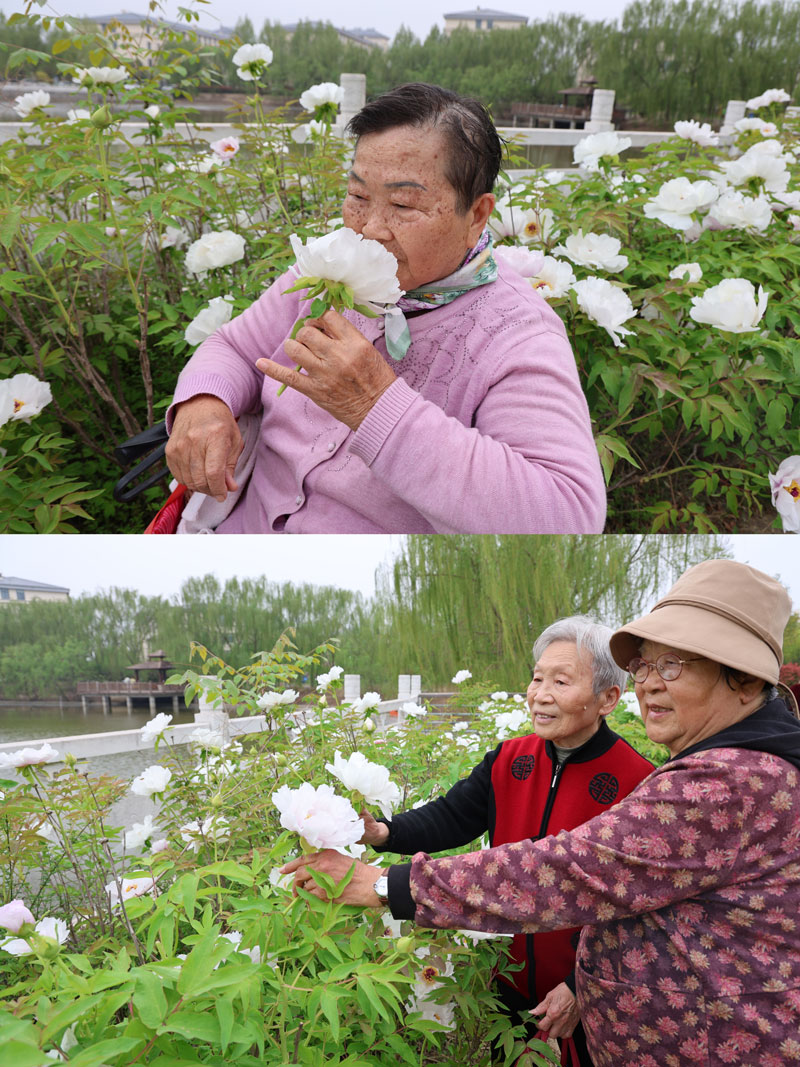 菏澤醫(yī)專附屬醫(yī)院